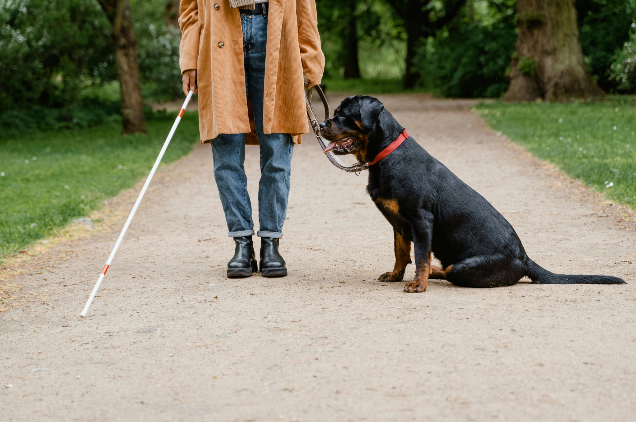 Pessoa com deficiencia visual sendo acompanhada de um cachorro de pelagem preta